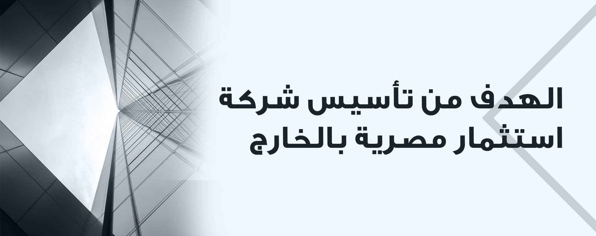 الهدف من تأسيس شركة استثمار مصرية بالخارج