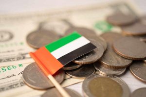 What are the reasons for introducing reverse charge mechanism in UAE What are the reasons for introducing reverse charge mechanism in UAE