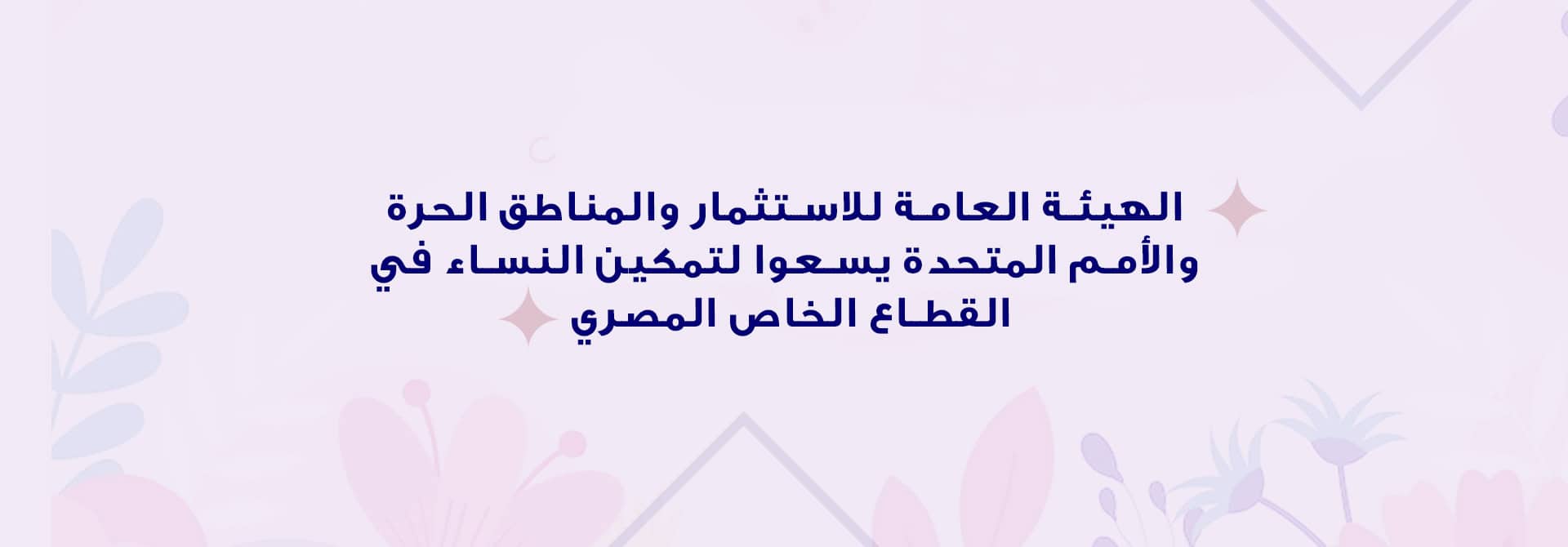 الهيئة العامة للاستثمار والمناطق الحرة والأمم المتحدة يسعوا لتمكين النساء في القطاع الخاص المصري