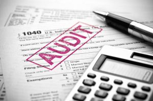 Audit Services Provided by AHG
