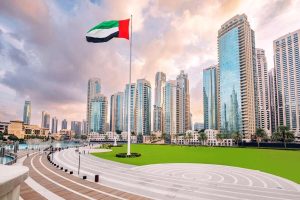 What are the Designated Zones in UAE