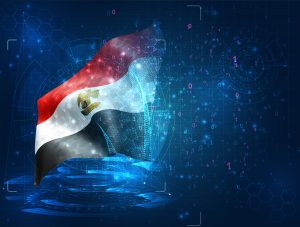 الإطار القانوني للضرائب على الخدمات الرقمية في مصر الإطار القانوني للضرائب على الخدمات الرقمية في مصر